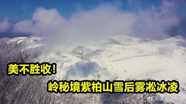 次元喵