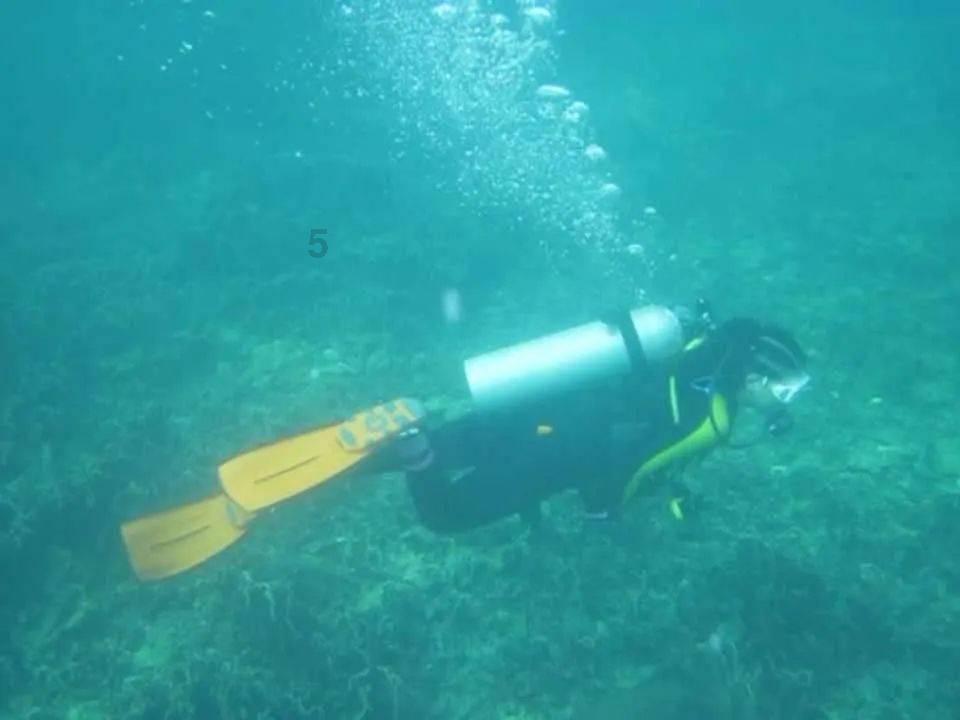 戒烟后，肺能否恢复正常呢？医生坦言：戒烟尽量别超过这个岁数
