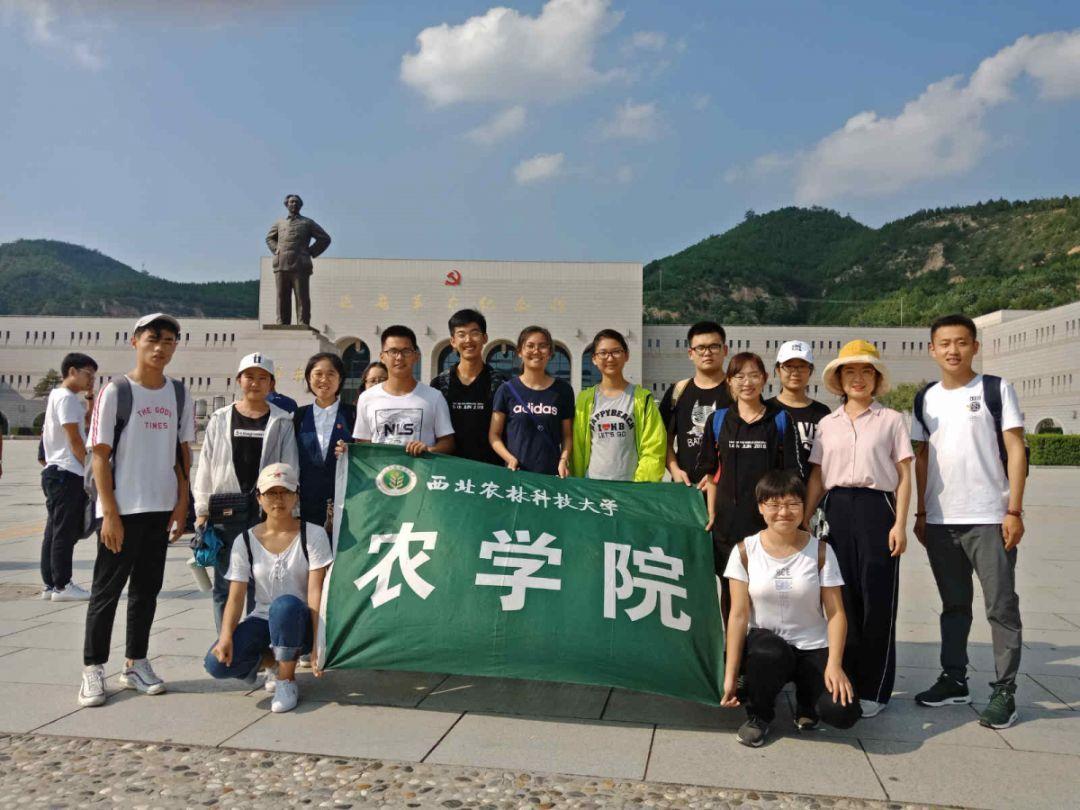 一个陌生电话，损失上万元｜反诈日历
