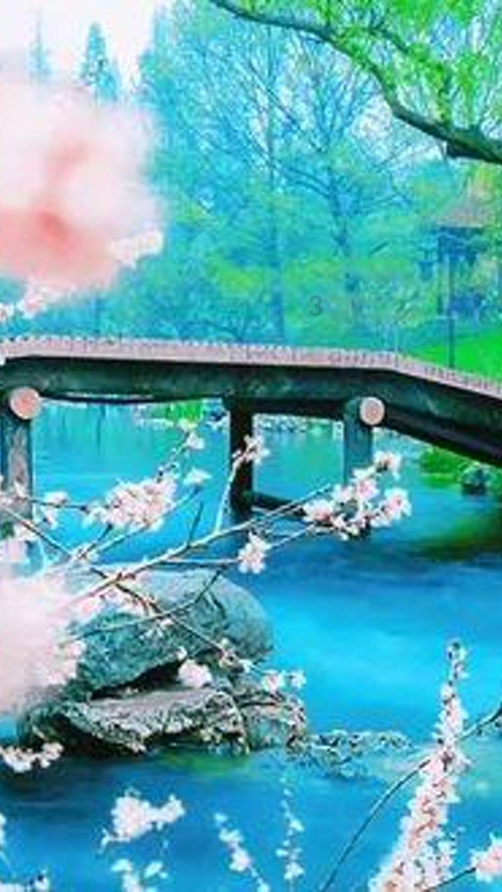 一机成团,核心小矮子再现铁华团光辉!